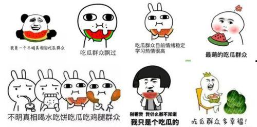 吃瓜群众下一句是什么,揭秘“吃瓜群众”背后的热议与真相